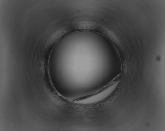 X0000091450258200708301816