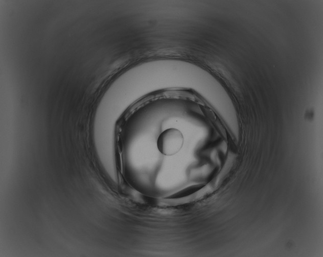 X0000091450260200708301816
