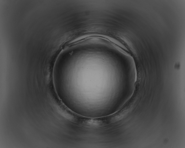 X0000091450261200708301816