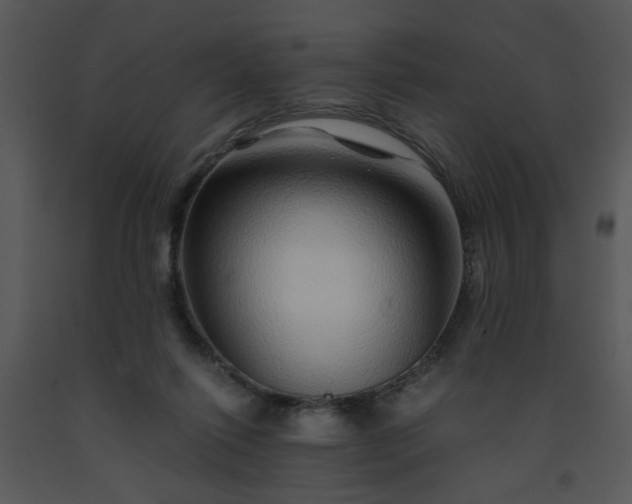 X0000091450262200708301816