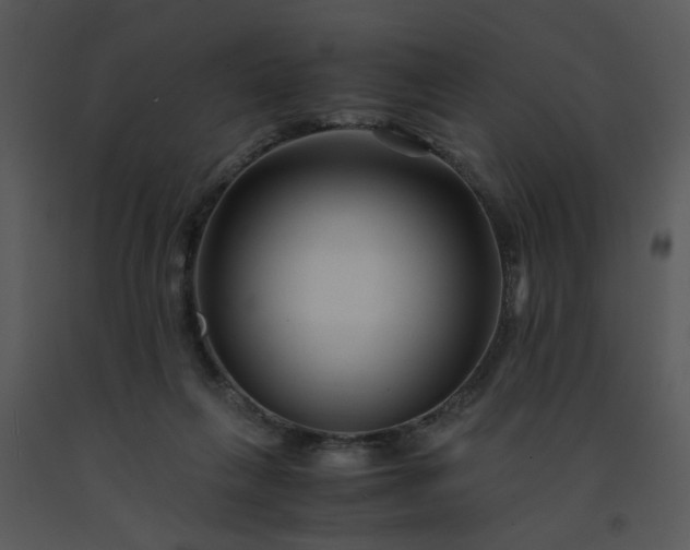 X0000091450263200708301816