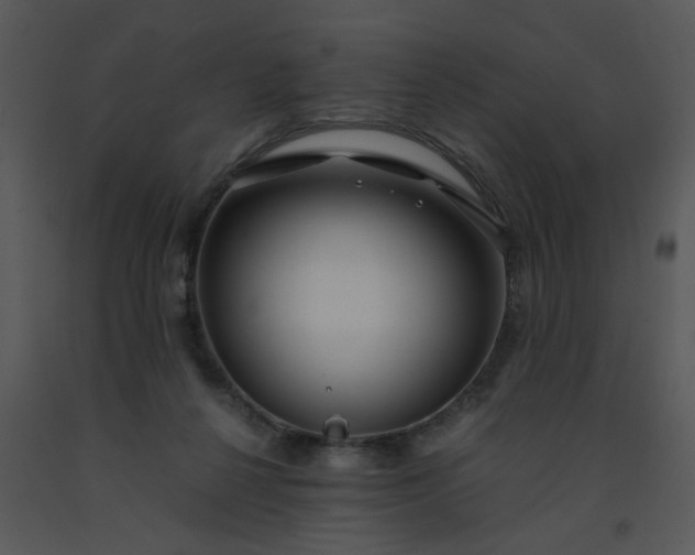 X0000091450264200708301816