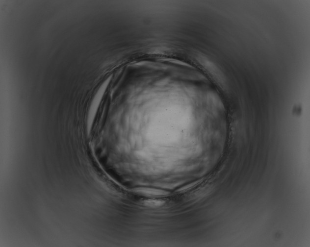 X0000091450265200708301816