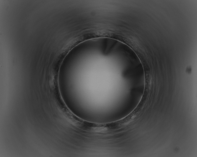 X0000091450266200708301816