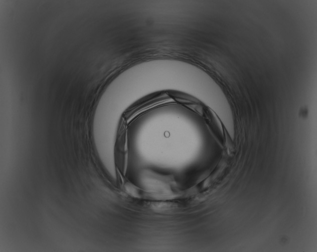 X0000091450268200708301816