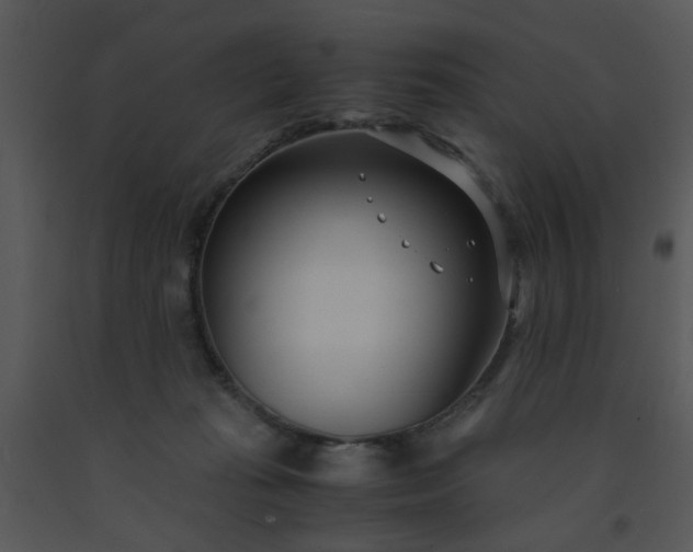 X0000091450269200708301816