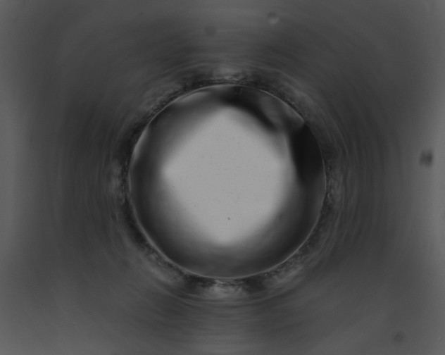 X0000091450270200708301816