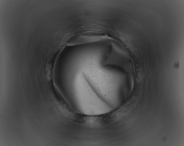 X0000091450273200708301816