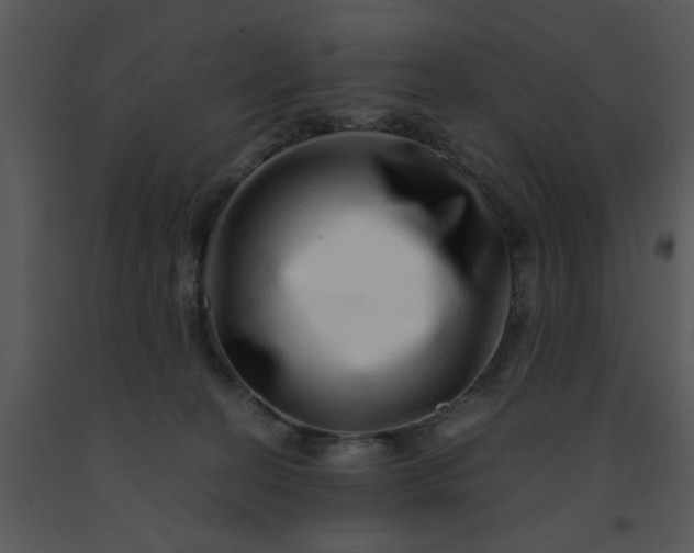 X0000091450274200708301816