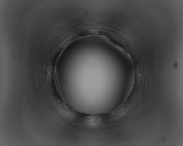 X0000091450275200708301816