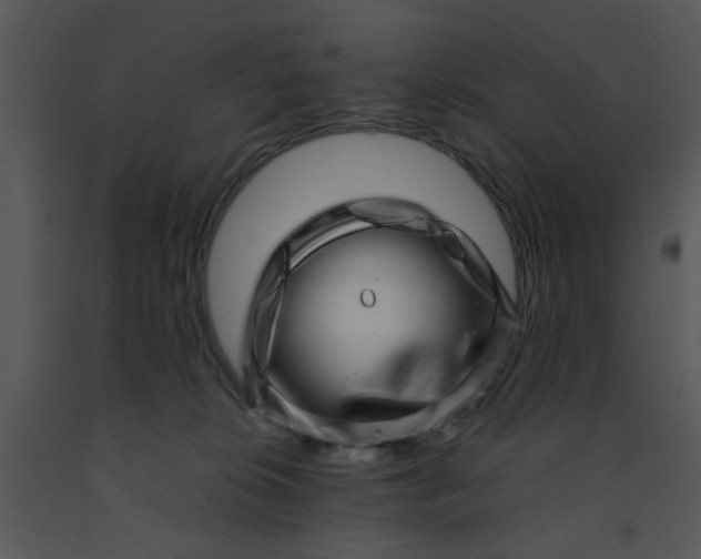 X0000091450276200708301816