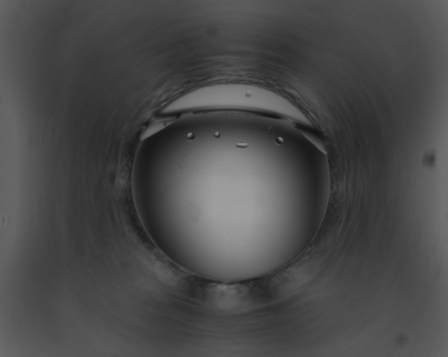 X0000091450277200708301816
