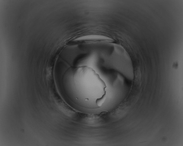 X0000091450278200708301816