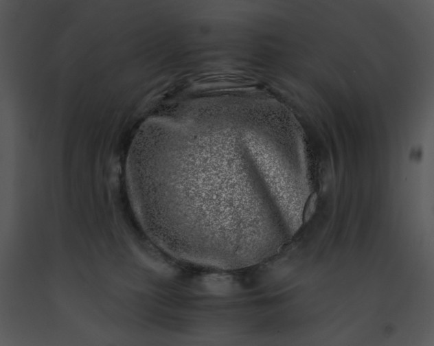 X0000091450279200708301816