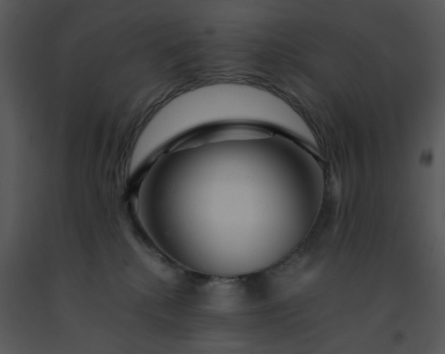 X0000091450280200708301816