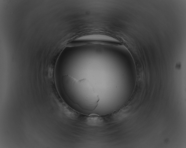 X0000091450281200708301816