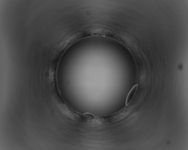 X0000091450282200708301816