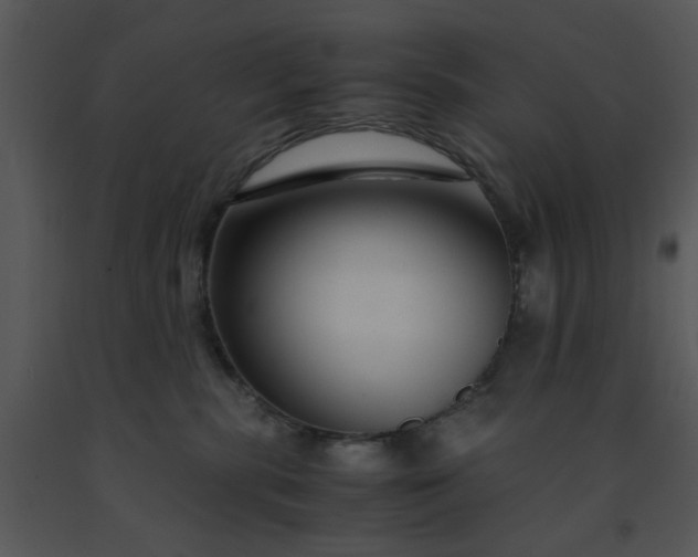 X0000091450283200708301816