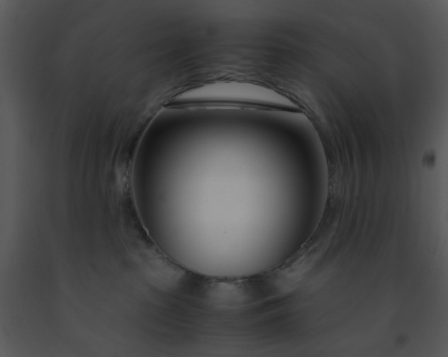 X0000091450285200708301816
