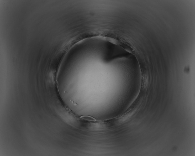 X0000091450286200708301816