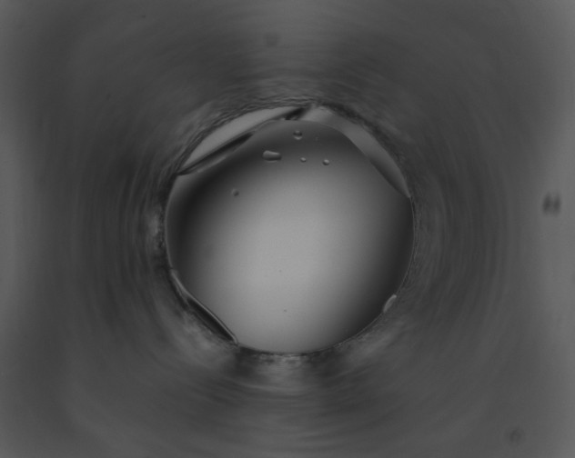 X0000091450288200708301816