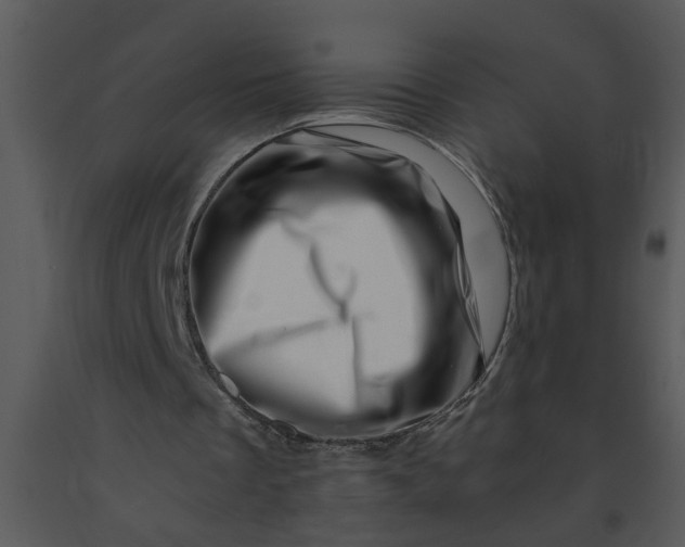 X0000091450289200708301816