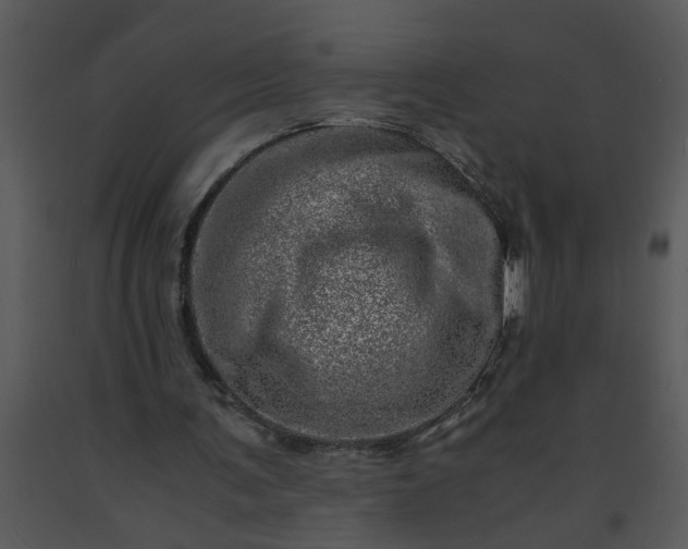 X0000091450291200708301816