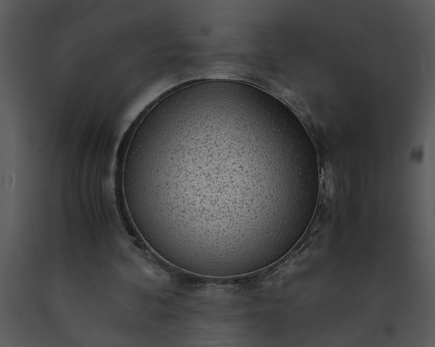 X0000091450292200708301816