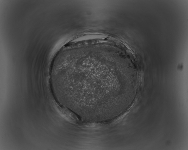 X0000091450293200708301816