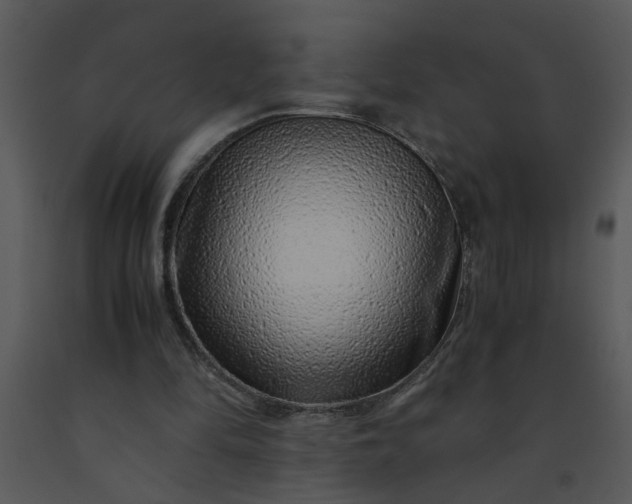X0000091450294200708301816