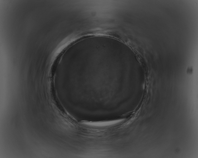 X0000091450295200708301816