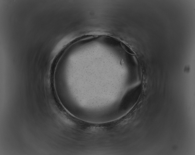 X0000091450296200708301816