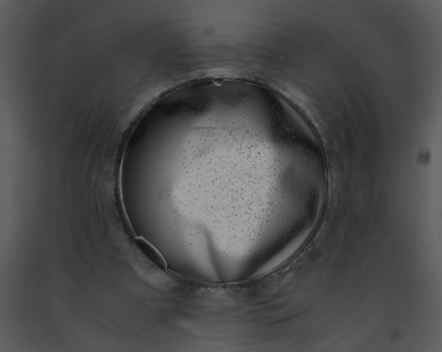 X0000091450297200708301816