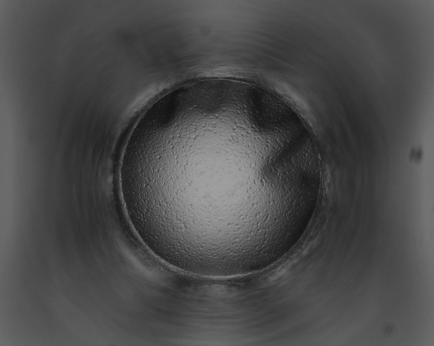 X0000091450298200708301815