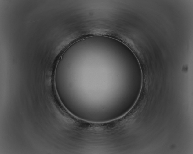 X0000091450299200708301815
