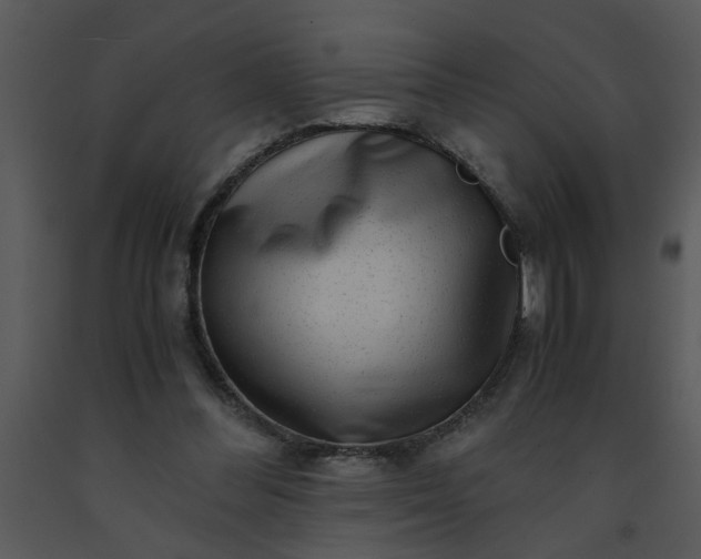 X0000091450300200708301815