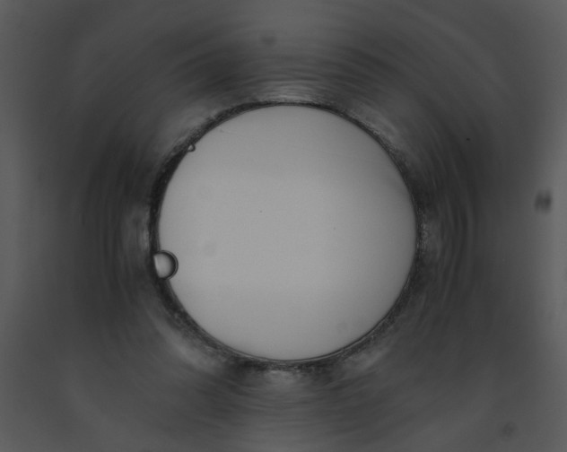 X0000091450302200708301815
