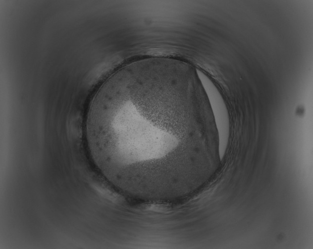 X0000091450303200708301815