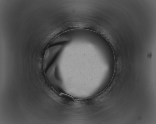 X0000091450305200708301815