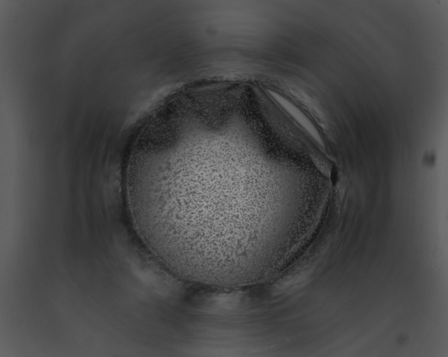 X0000091450306200708301815
