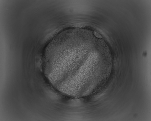X0000091450307200708301815