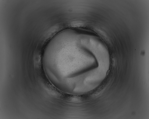 X0000091450308200708301815