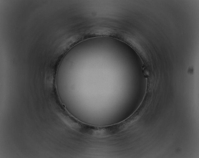 X0000091450309200708301815