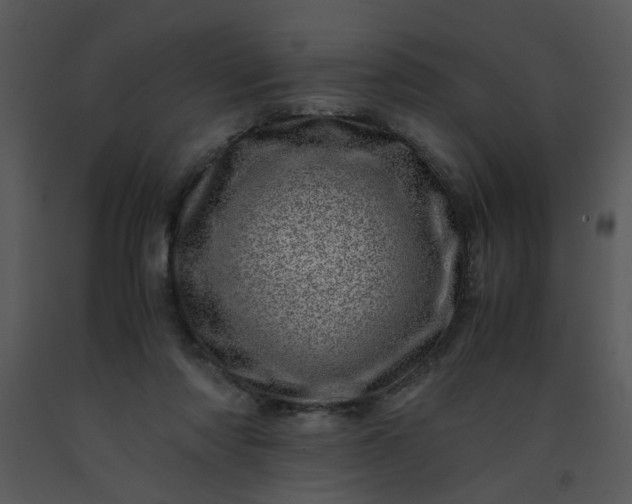 X0000091450310200708301815