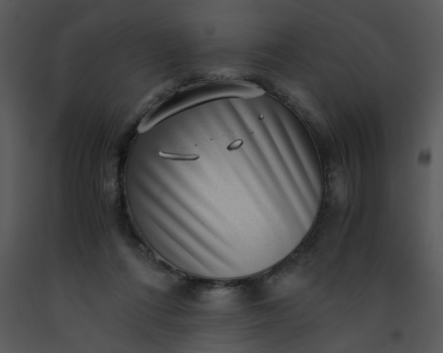X0000091450312200708301815