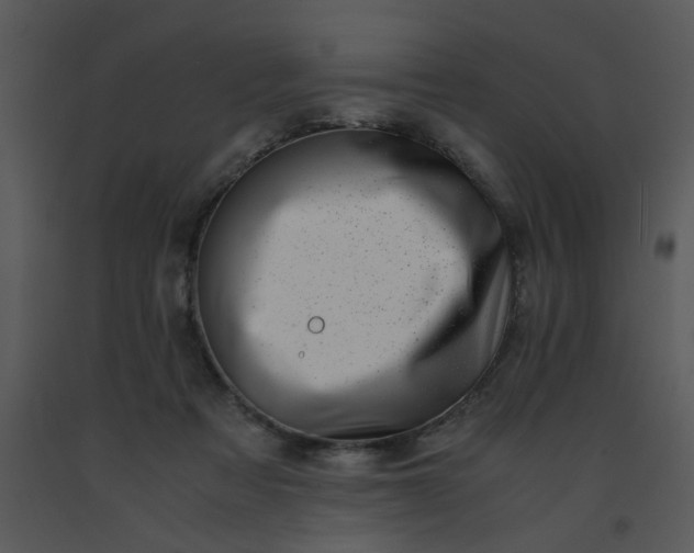 X0000091450313200708301815