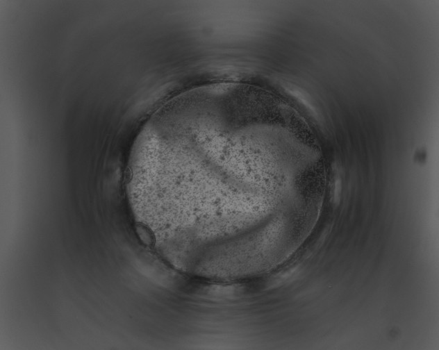 X0000091450314200708301815
