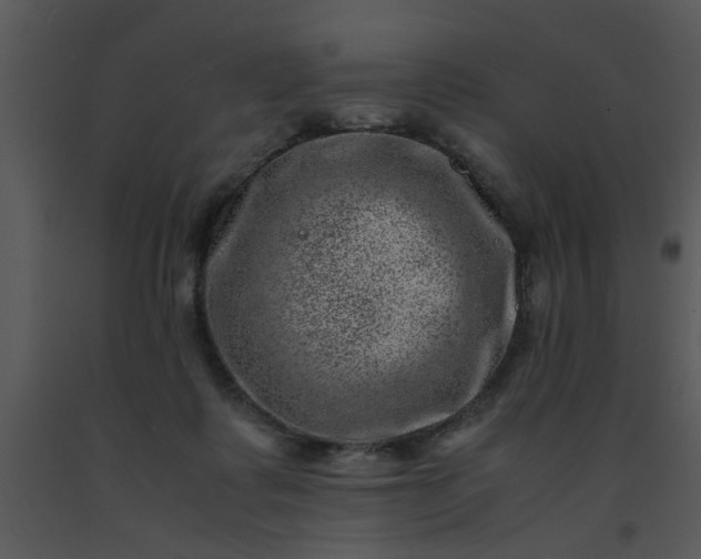 X0000091450315200708301815