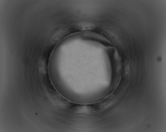 X0000091450316200708301815