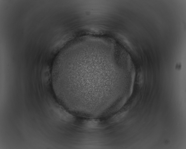 X0000091450318200708301815